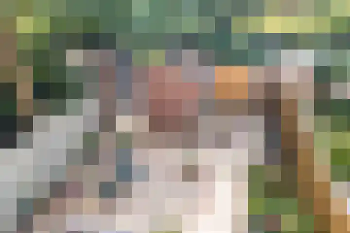 Baaneweer 10 Sliedrecht thumbnail 23