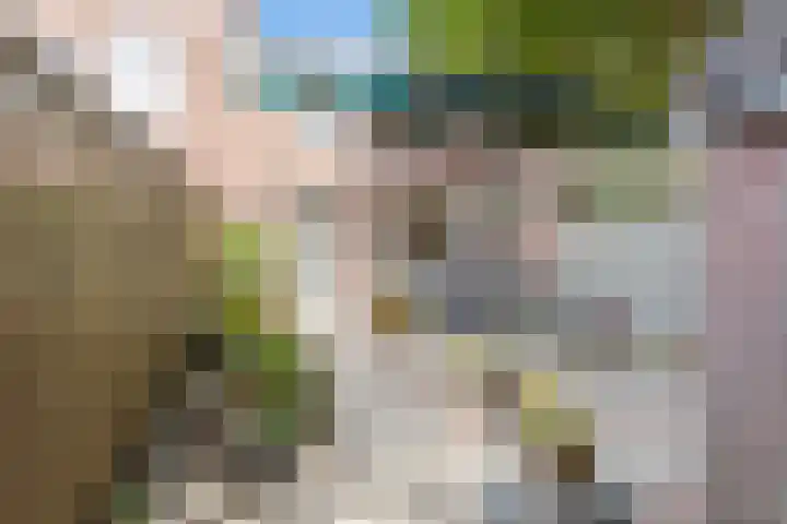 Baaneweer 10 Sliedrecht thumbnail 25