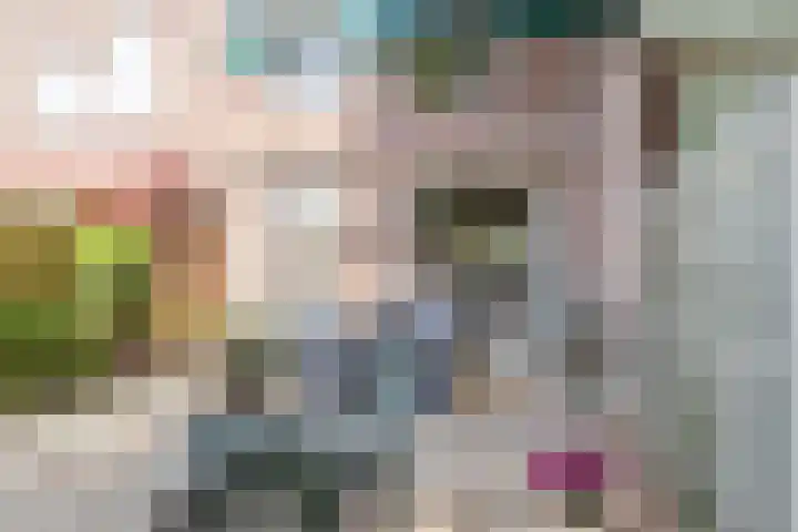 Baaneweer 10 Sliedrecht thumbnail 26