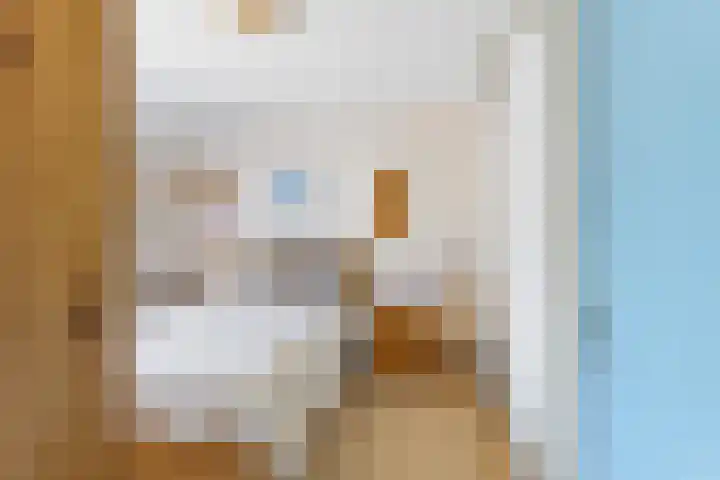 Baaneweer 10 Sliedrecht thumbnail 31