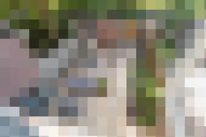 Baaneweer 10 Sliedrecht thumbnail 35
