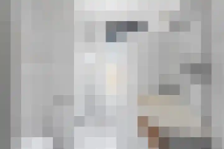 Baaneweer 10 Sliedrecht thumbnail 41
