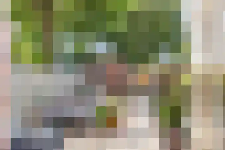 Baaneweer 10 Sliedrecht thumbnail 5