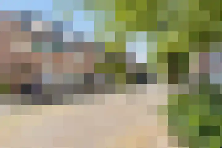 Baaneweer 10 Sliedrecht thumbnail 6