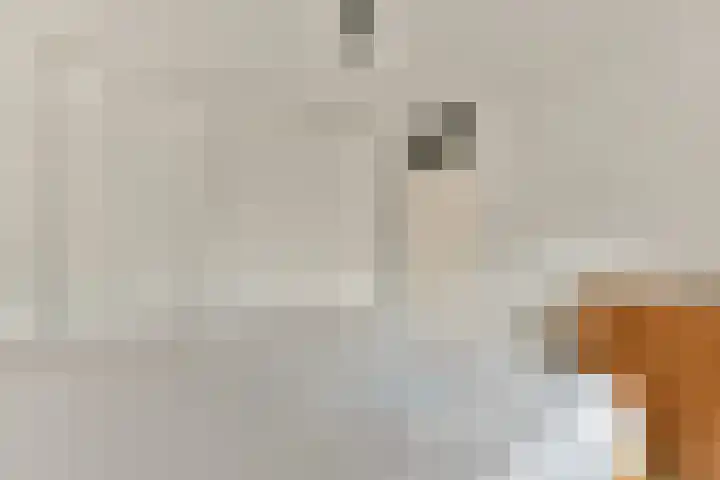 Baaneweer 41 Sliedrecht thumbnail 17
