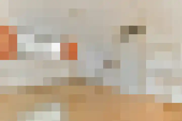 Baaneweer 41 Sliedrecht thumbnail 22