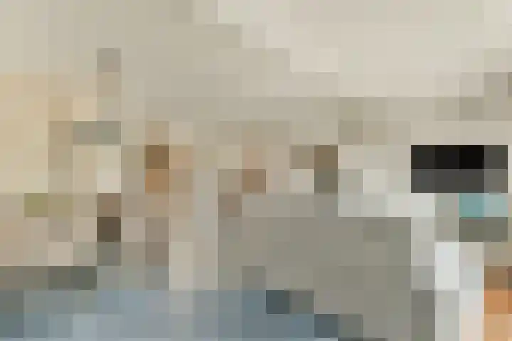 Baaneweer 41 Sliedrecht thumbnail 8