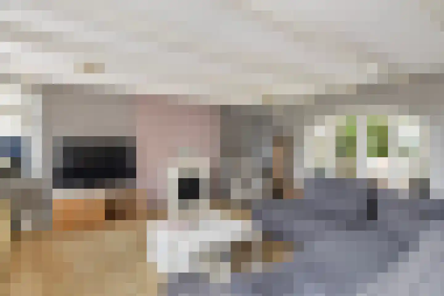 Baanhoek 189 Sliedrecht thumbnail 10