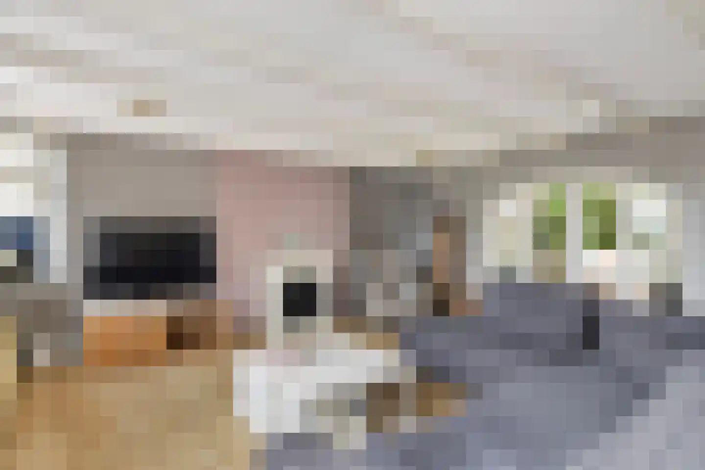 Baanhoek 189 Sliedrecht thumbnail 13