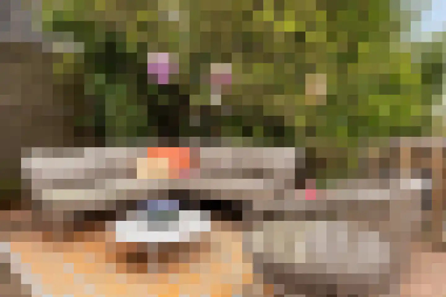 Baanhoek 189 Sliedrecht thumbnail 6