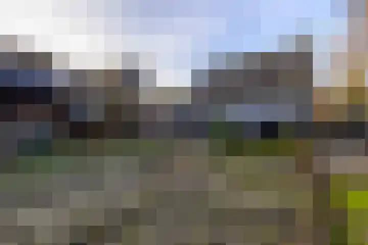Baanhoek 249 Sliedrecht thumbnail 30