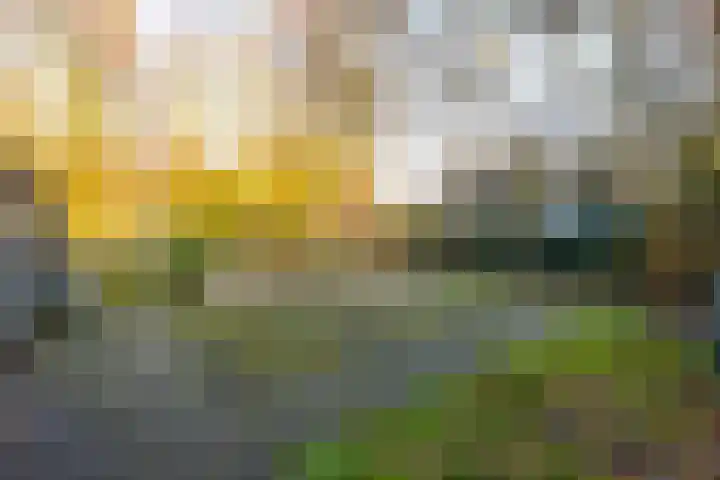 Baanhoek 249 Sliedrecht thumbnail 31