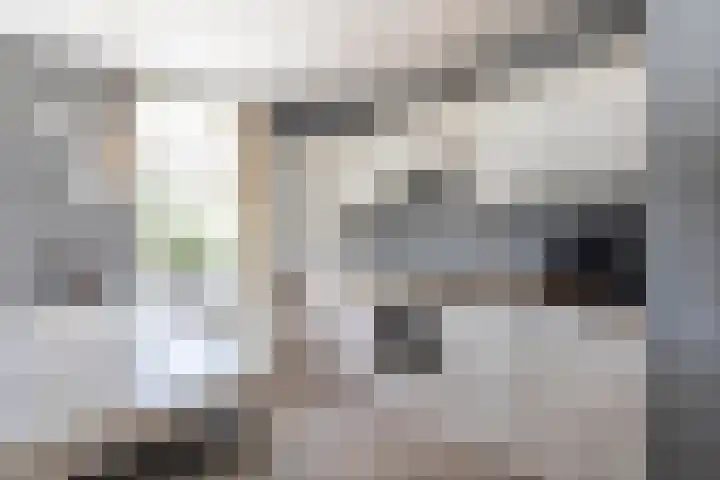 Baanhoek 331 Sliedrecht thumbnail 11