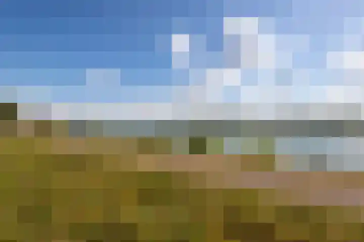 Baanhoek 331 Sliedrecht thumbnail 4