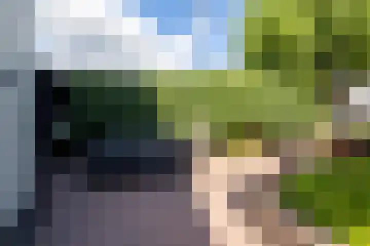 Baanhoek 331 Sliedrecht thumbnail 40