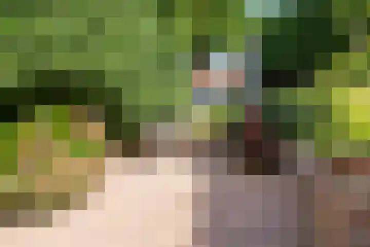 Baanhoek 331 Sliedrecht thumbnail 41