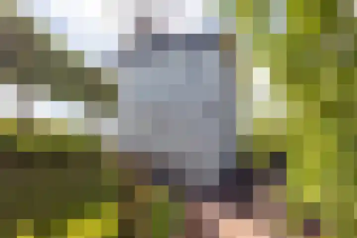 Baanhoek 331 Sliedrecht thumbnail 42