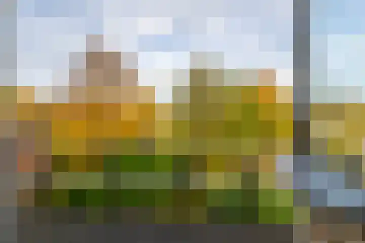 Baanhoek 345 Sliedrecht thumbnail 13