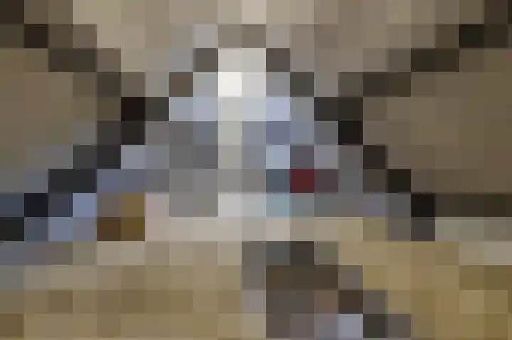 Baanhoek 345 Sliedrecht thumbnail 15