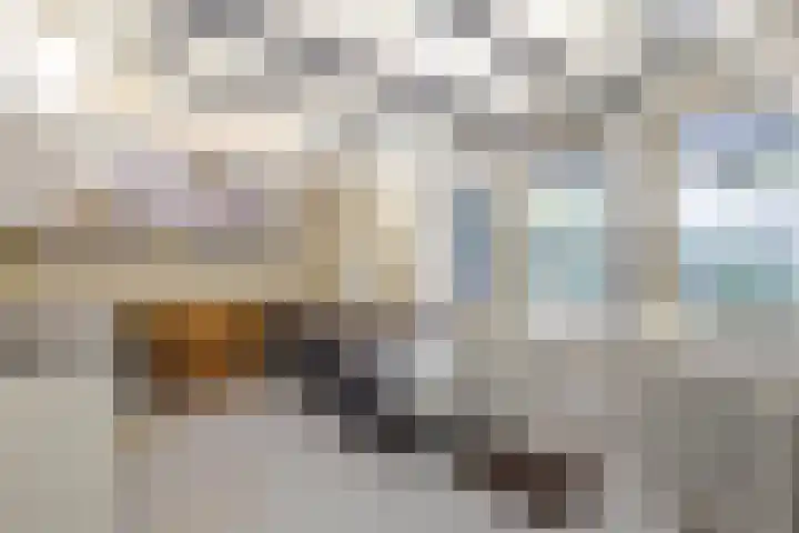Baanhoek 345 Sliedrecht thumbnail 17