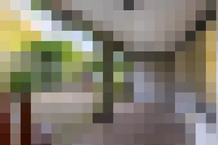 Baanhoek 345 Sliedrecht thumbnail 22