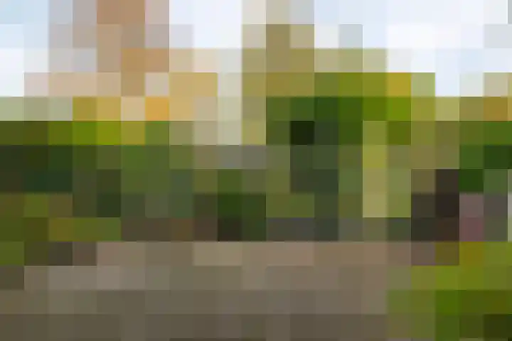 Baanhoek 345 Sliedrecht thumbnail 23