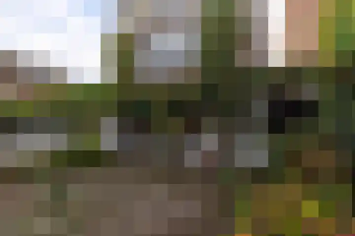 Baanhoek 345 Sliedrecht thumbnail 25