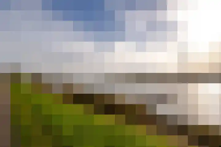 Baanhoek 345 Sliedrecht thumbnail 28