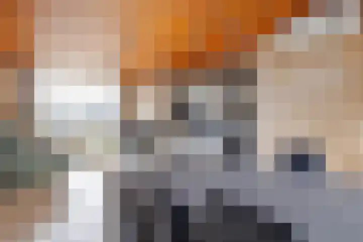 Baanhoek 345 Sliedrecht thumbnail 7