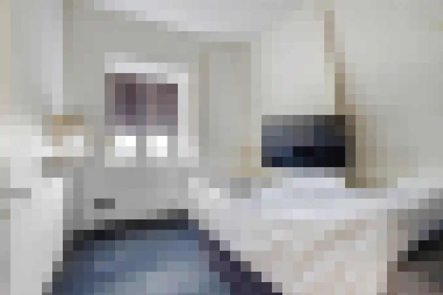 Baanhoek 375 Sliedrecht thumbnail 29