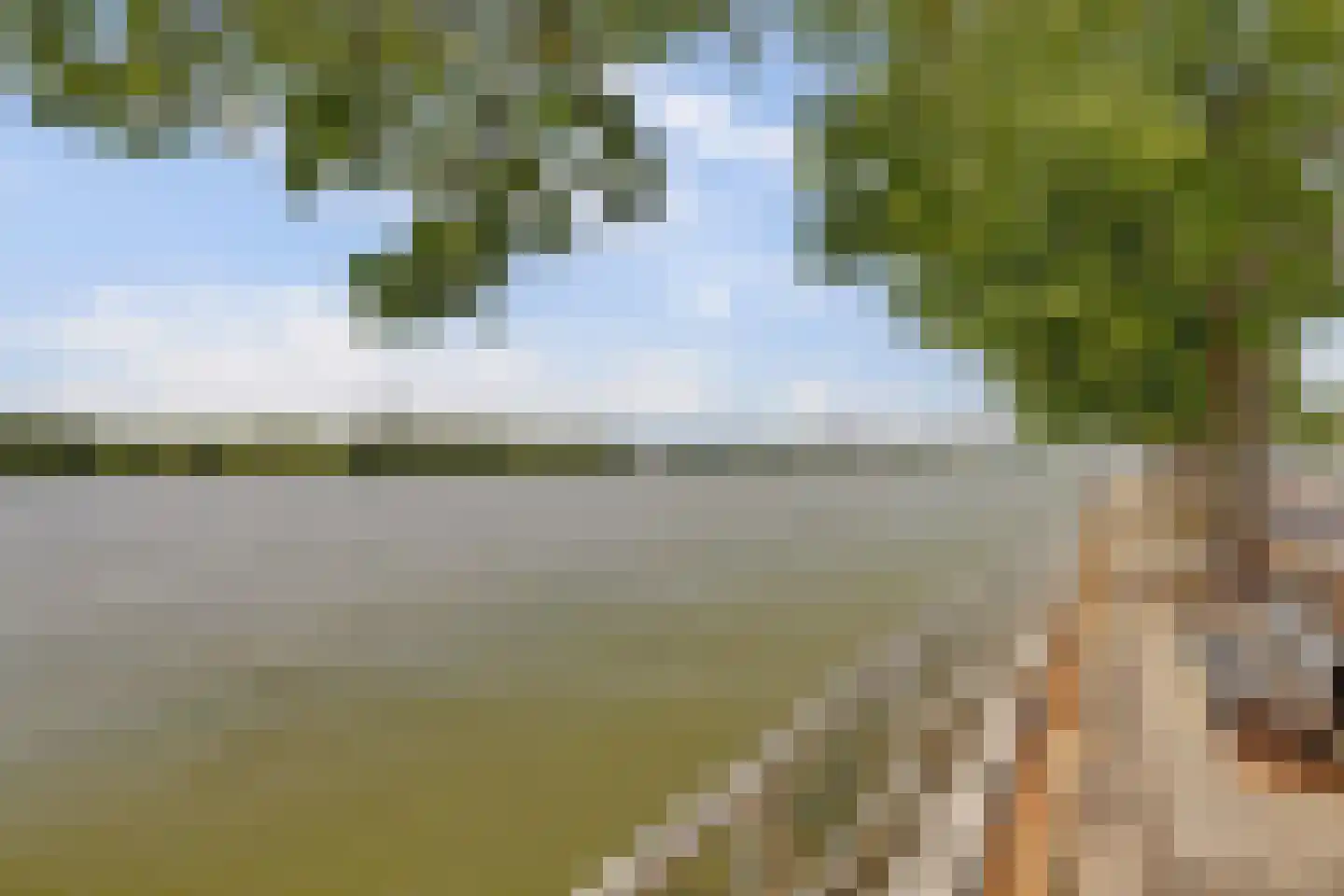 Baanhoek 375 Sliedrecht thumbnail 79