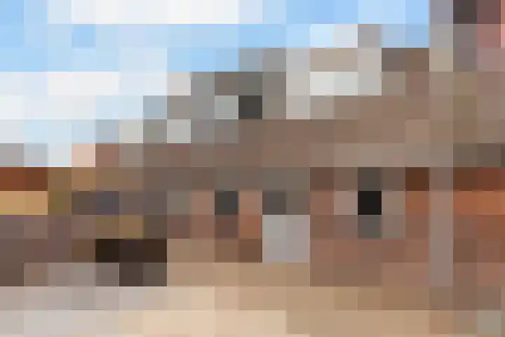 Baanhoek 451 Sliedrecht thumbnail 27