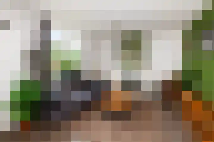 Baanhoek 451 Sliedrecht thumbnail 5