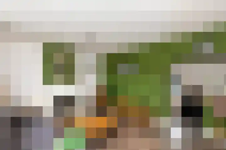 Baanhoek 451 Sliedrecht thumbnail 6