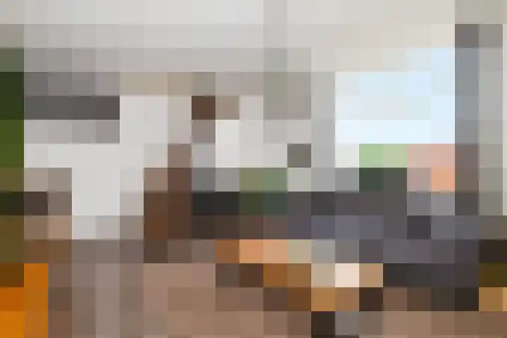 Baanhoek 451 Sliedrecht thumbnail 7