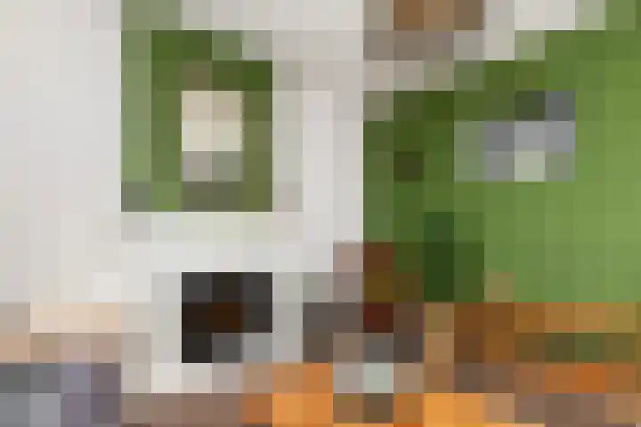 Baanhoek 451 Sliedrecht thumbnail 8