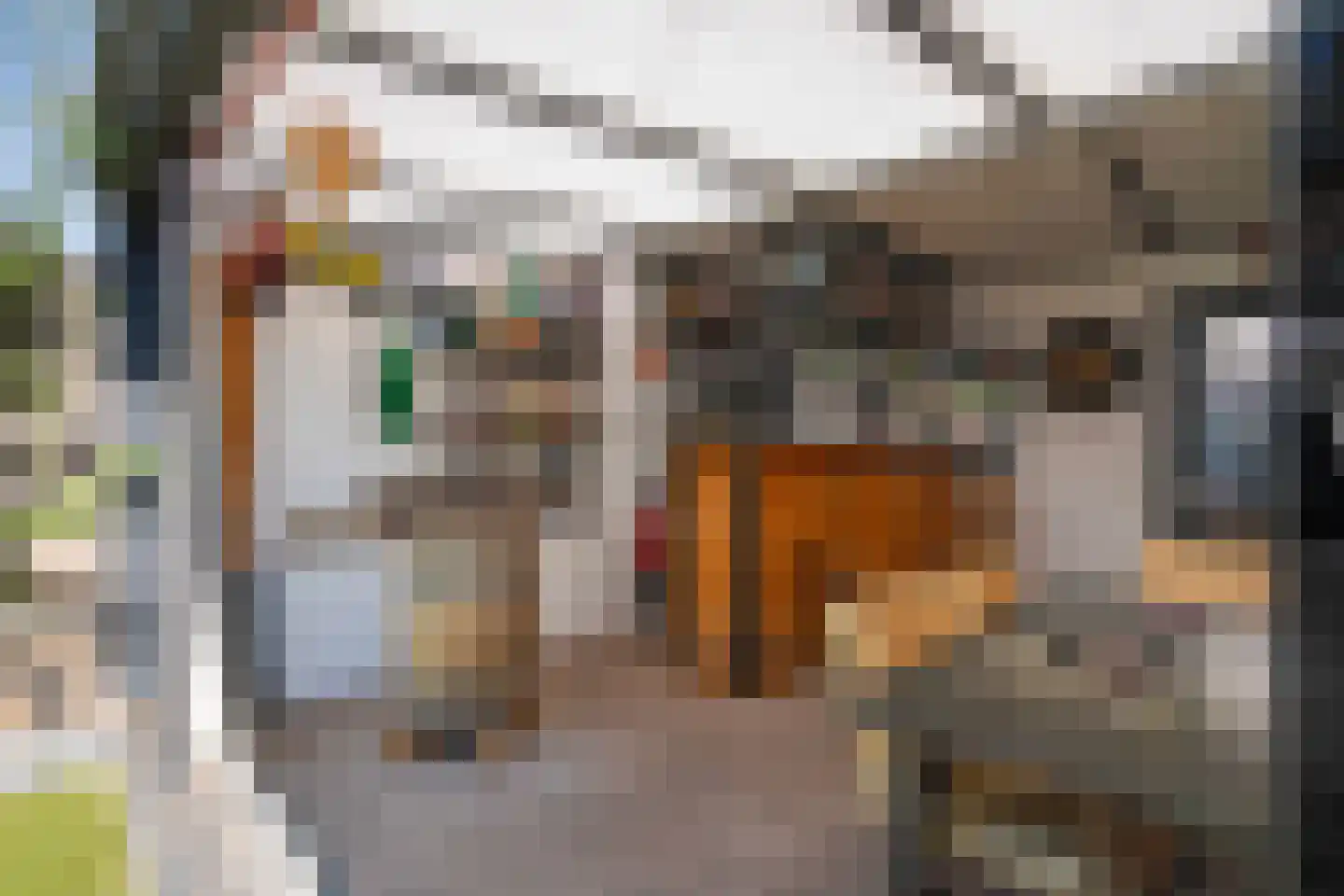 Baankamp 22 A Rijssen thumbnail 47