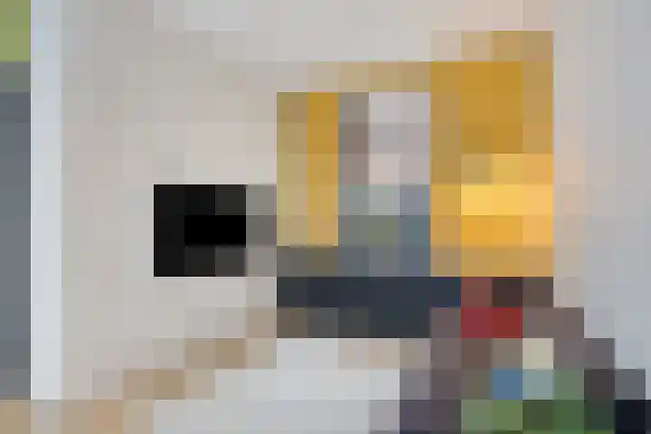 Baanpad 30 Alkmaar thumbnail 12