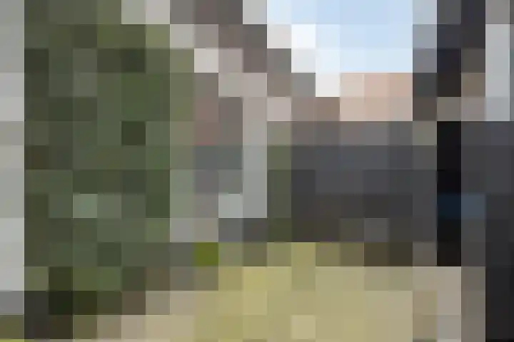 Baanpad 30 Alkmaar thumbnail 16