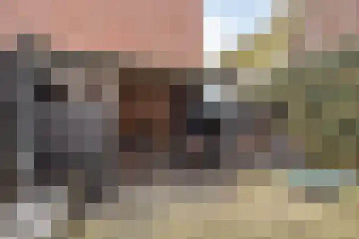 Baanpad 30 Alkmaar thumbnail 18