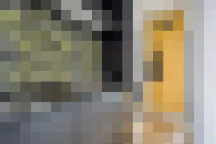 Baanpad 30 Alkmaar thumbnail 21