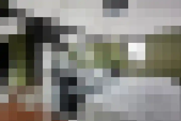 Baanpad 30 Alkmaar thumbnail 25