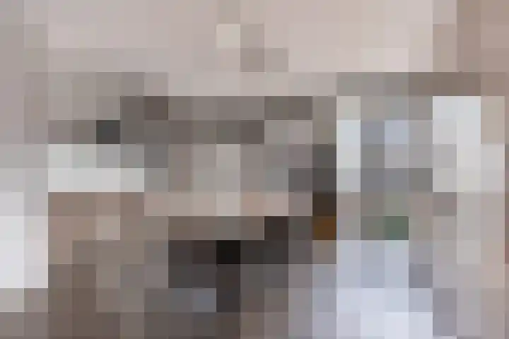 Baanpad 6 A Alkmaar thumbnail 15