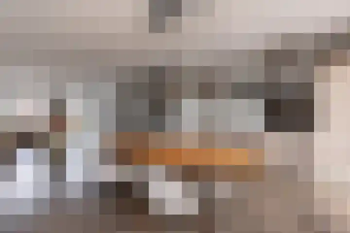 Baanpad 6 A Alkmaar thumbnail 16