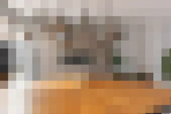 Baanpad 6 A Alkmaar thumbnail 17