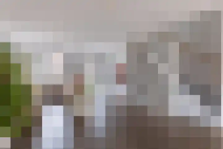 Baanpad 6 A Alkmaar thumbnail 19