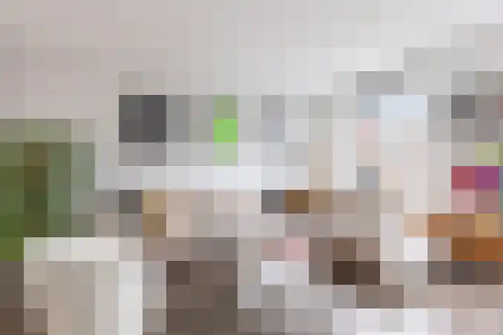 Baanpad 6 A Alkmaar thumbnail 22