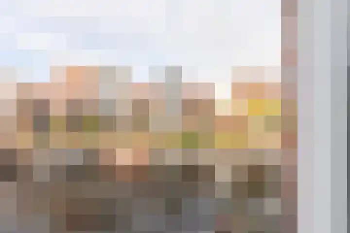 Baanpad 6 A Alkmaar thumbnail 25