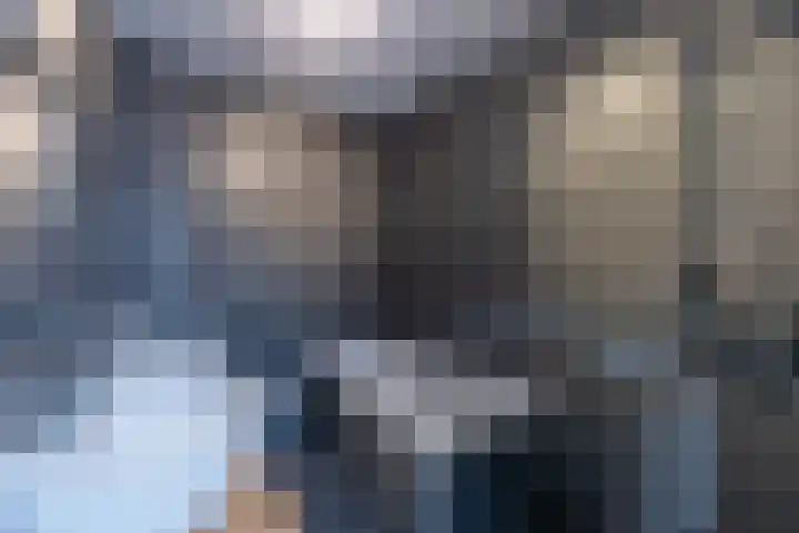 Baanpad 6 A Alkmaar thumbnail 28
