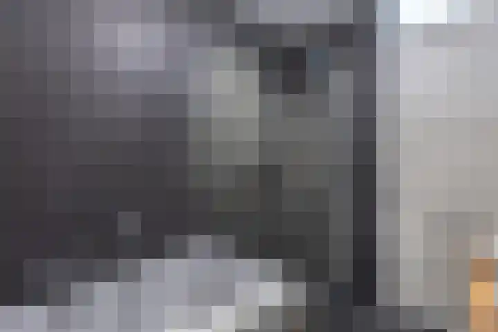 Baanpad 6 A Alkmaar thumbnail 30